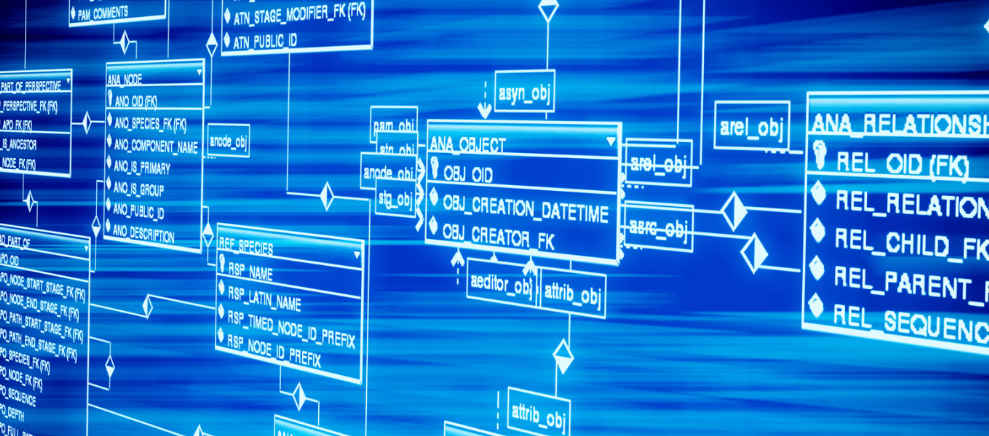 试管婴儿移植后饮食